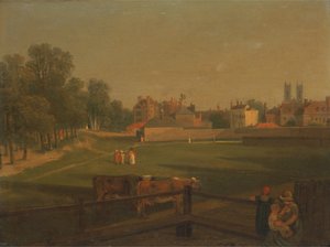 Een westelijk uitzicht op een deel van Westminster en Bird Cage Walk genomen vanuit het molenhuis